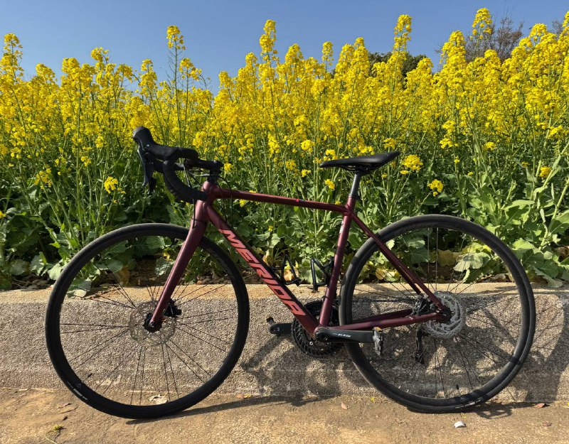 出门踏春😁#骑行 #日常