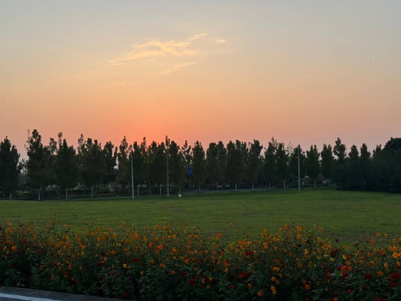 提车第一天，江心洲骑了两圈，看了日落，来回70公里，回来路上饥肠辘辘，去吃了炒鸡，香喷喷，下次还来